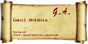 Ganzl Antónia névjegykártya